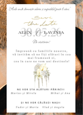 Brown Envelope - Printată