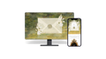 Interactive Lace - Website