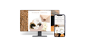 Brown Envelope - Website